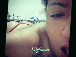 Lilyflower