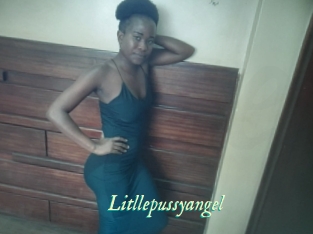 Litllepussyangel