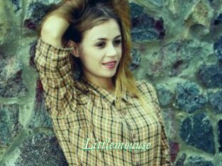 Littlemouuse