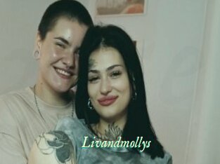 Livandmollys