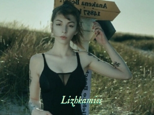 Lizhkamics
