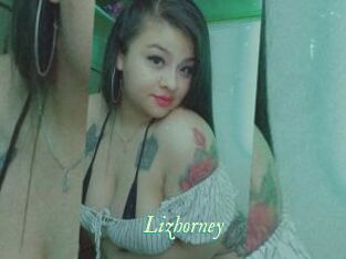 Lizhorney