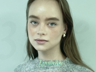 Lynnbricks
