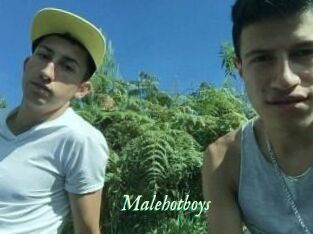 Malehotboys