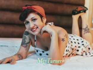 MeyTurner