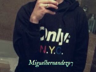 Miguel_hernandez97