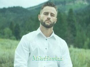 MikeHawk22