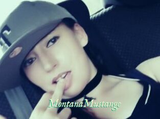MontanaMustange
