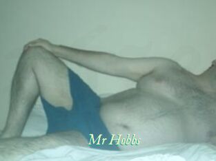 Mr_Hobbs