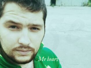 Mr_bear1