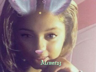 Mswet23