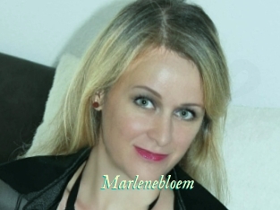 Marlenebloem