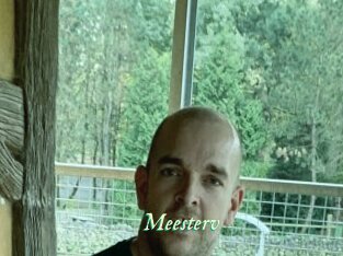 Meesterv