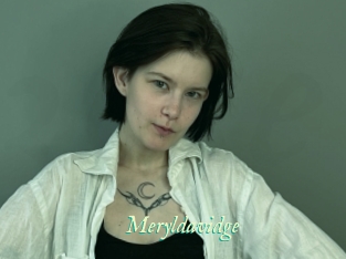 Meryldavidge