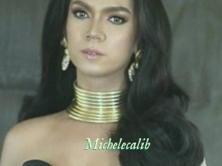 Michelecalib