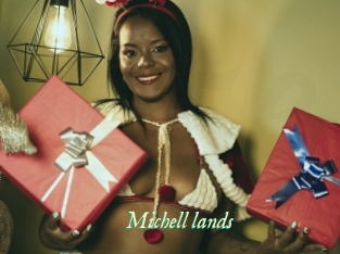 Michell_lands