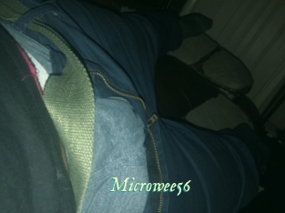 Microwee56