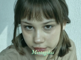 Mintagekas
