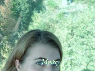 Monkey