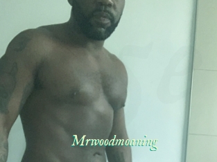 Mrwoodmoaning