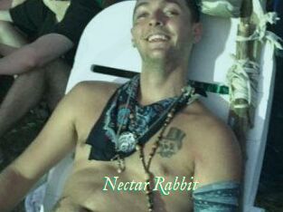 Nectar_Rabbit