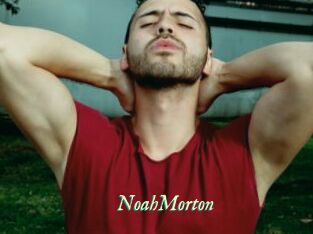 NoahMorton