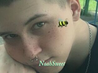 NoahSweet