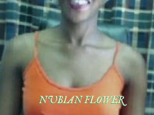 _NUBIAN_FLOWER_