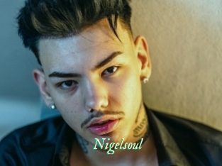 Nigelsoul