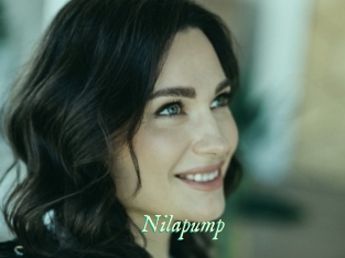 Nilapump
