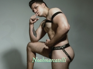 noahmarcatelli 365 Erotiek