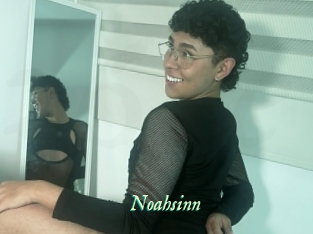 Noahsinn