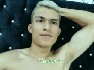 Noahsmitt