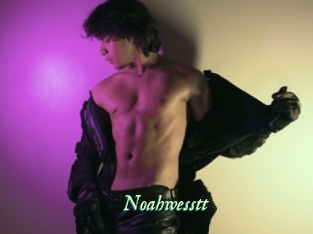 Noahwesstt