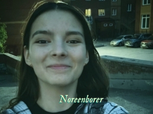 Noreenborer
