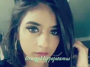 OrangeHippopotamus