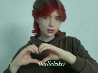 Odellahakes