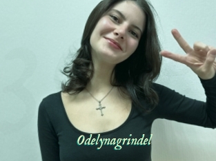 Odelynagrindel