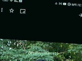 Ottobreymann19