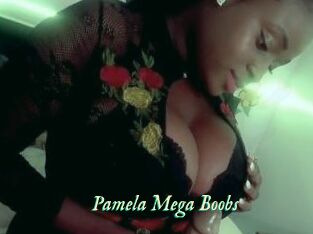 Pamela_Mega_Boobs