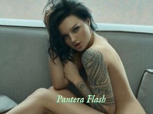 Pantera_Flash
