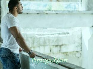 PerfectguyRobert