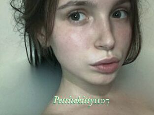 Pettitekitty1107