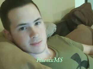 PhoenixMS