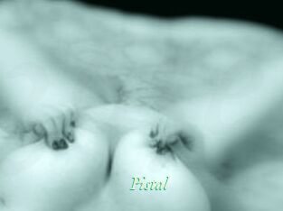 Pistal