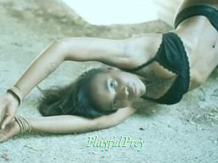 PlayfulPrey