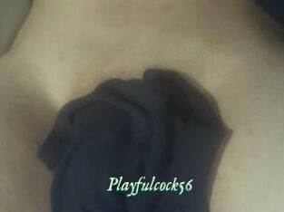 Playfulcock56