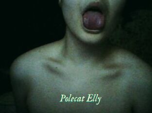Polecat_Elly