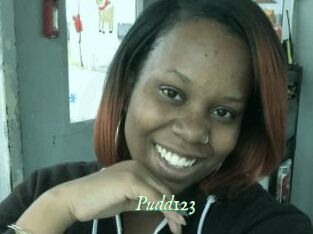 Pudd123