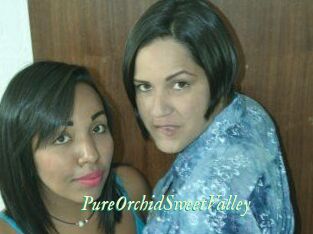 PureOrchidS_weetValley